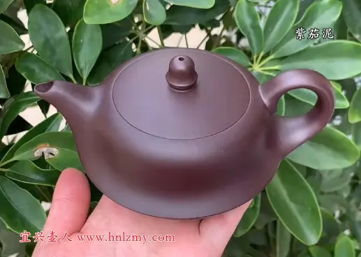 抖音國工紫砂壺