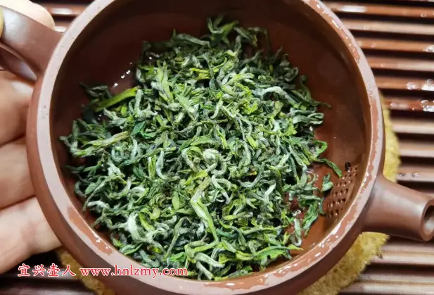 紫砂壺泡綠茶