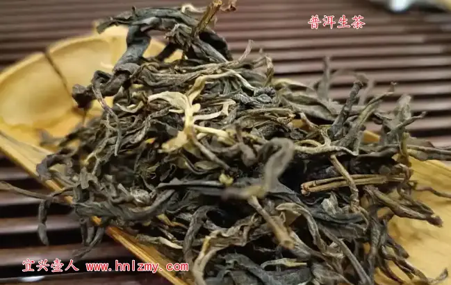 普洱生茶